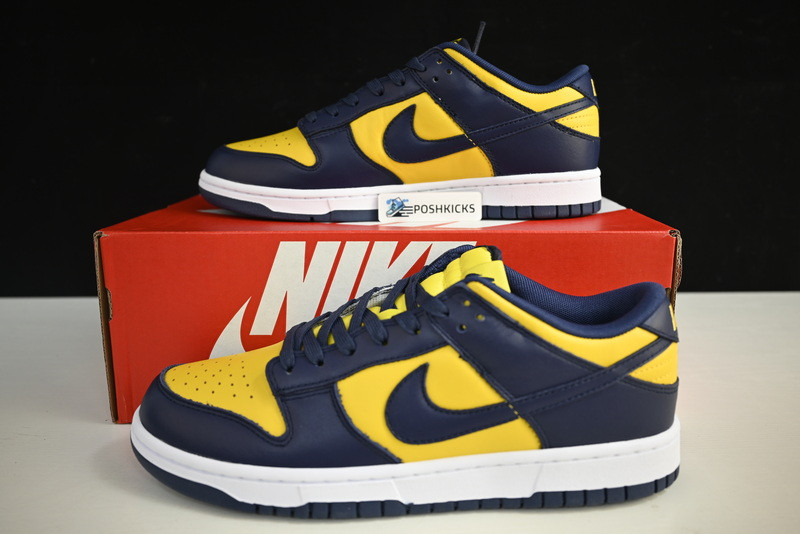 NIKE DUNK LOW MICHIGAN DD1391-700