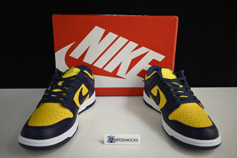 NIKE DUNK LOW MICHIGAN DD1391-700