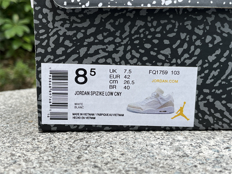 Air Jordan Spizike Low 