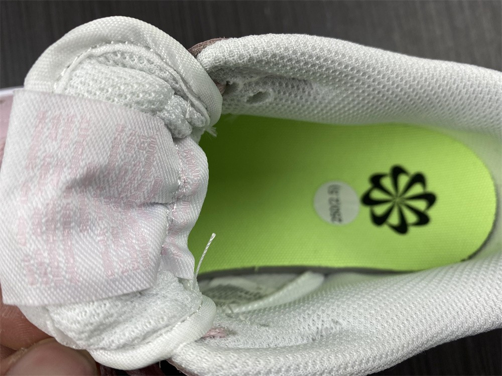 Nike Dunk Low Next Nature Pale Coral (W) DD1873-100