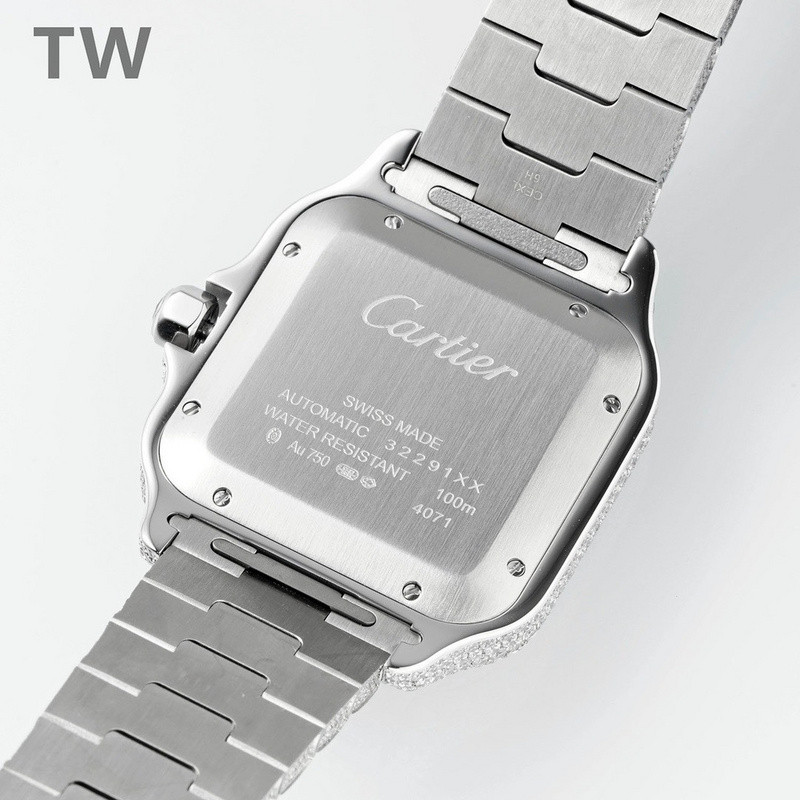 c-a-t-i-e-r watches