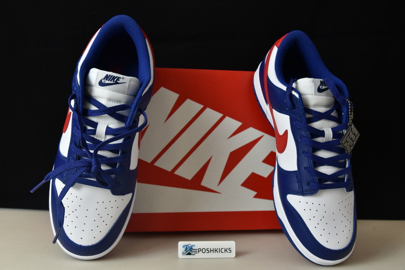 Nike Dunk Low USA (W) DD1503-119