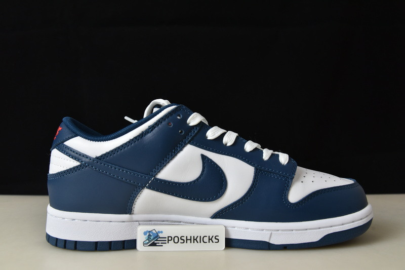 Nike dunk SB Low Retro Valerian Blue DD1391-400