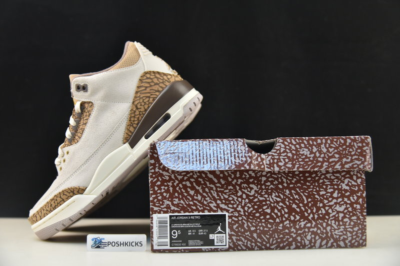 Air Jordan 3 Palomino CT8532-102