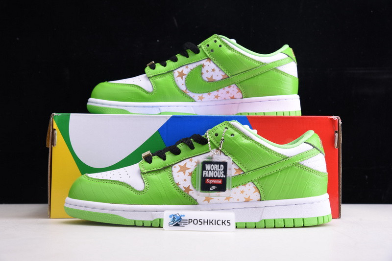 Nike SB Dunk Low DH3228-101