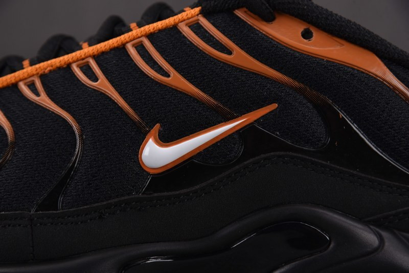 Nike Air Max Plus Dark Obsidian Monarch FN6949-400