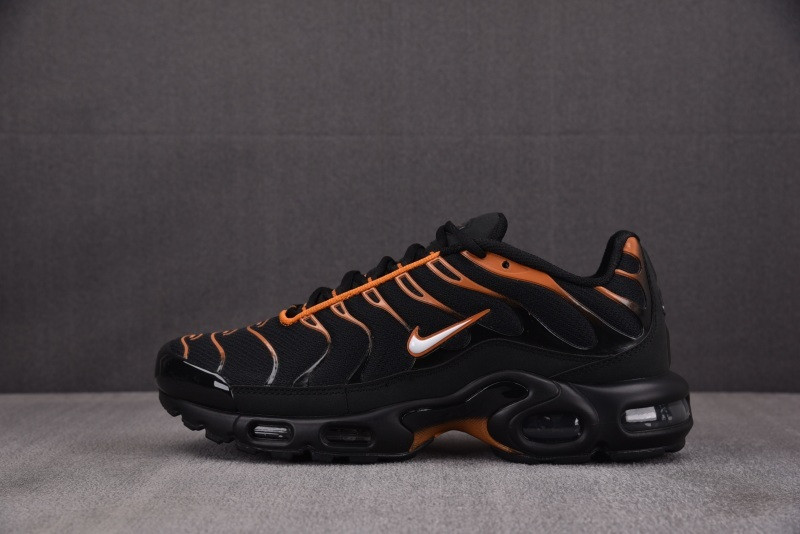 Nike Air Max Plus Dark Obsidian Monarch FN6949-400