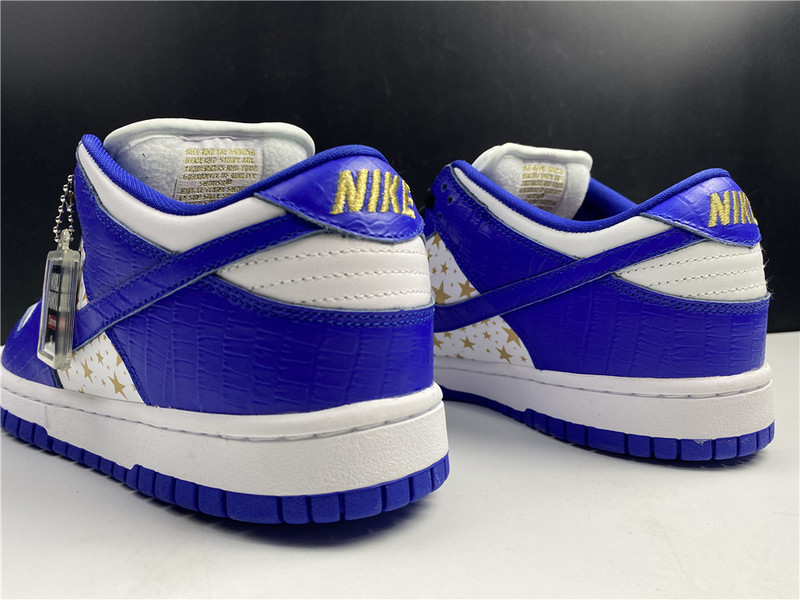 Nike SB Dunk Low DH3228-100