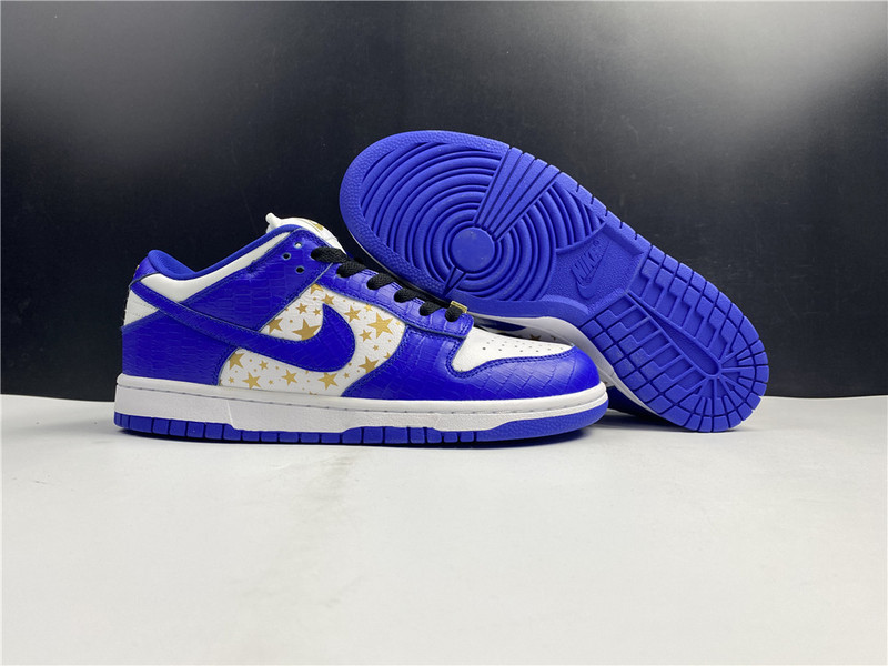 Nike SB Dunk Low DH3228-100