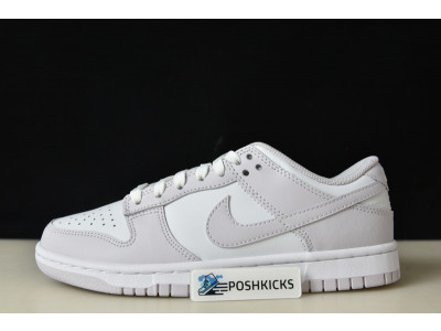 Nike Dunk Low Venice (W) DD1503-116